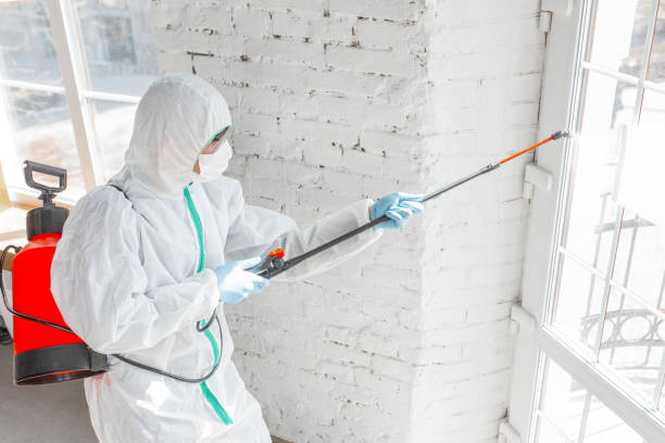 Best Mold Prevention Services  in Cape Charles, VA